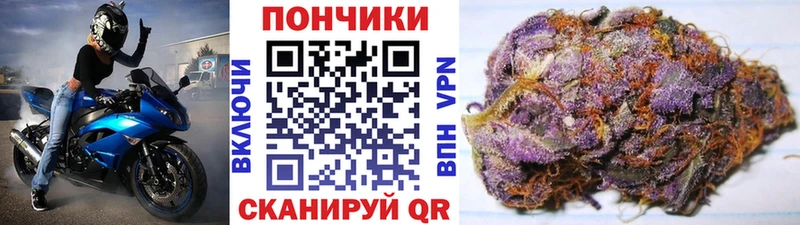 где найти наркотики  Сафоново  Конопля MAZAR 